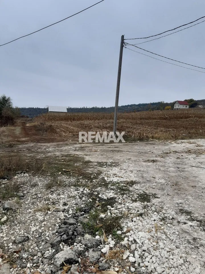 Land, 7 ares — Image 2