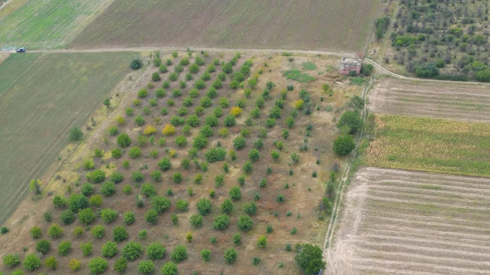 Teren comercial, 4.87 hectare — Imagine 1