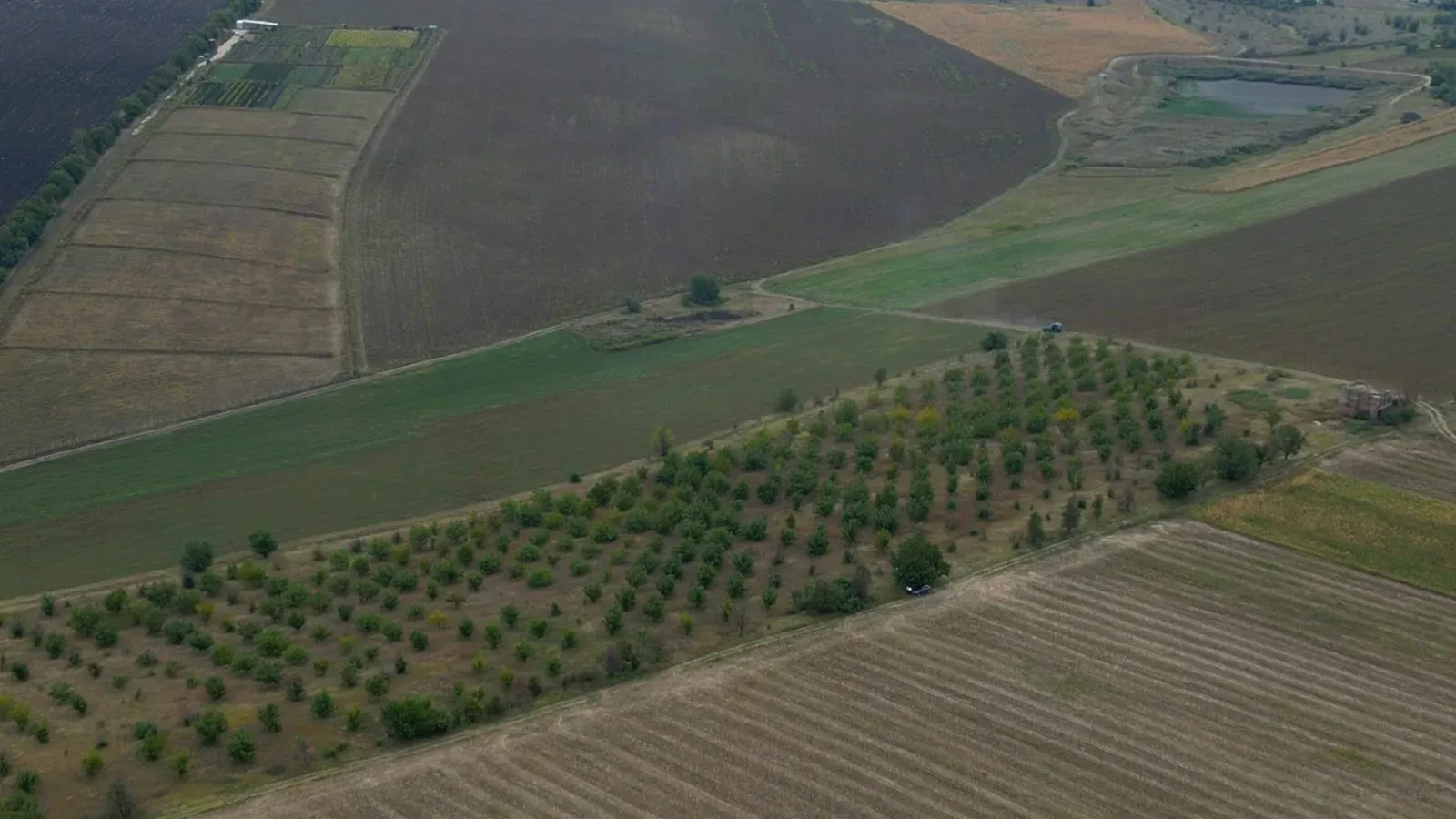 Teren comercial, 4.87 hectare — Imagine 3