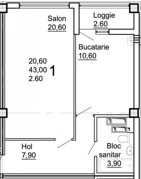 1-camere apartament, 45 m² — Imagine 2