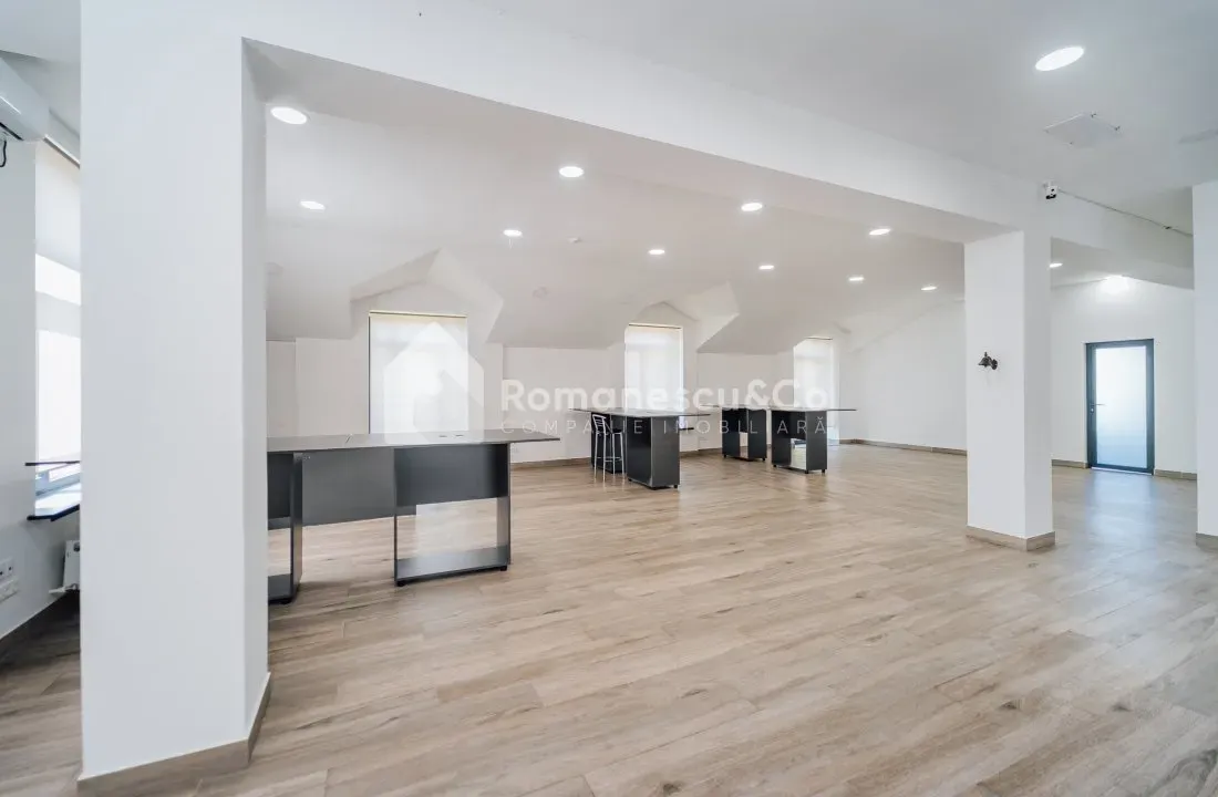 1-camere birou, 150 m² — Imagine 3