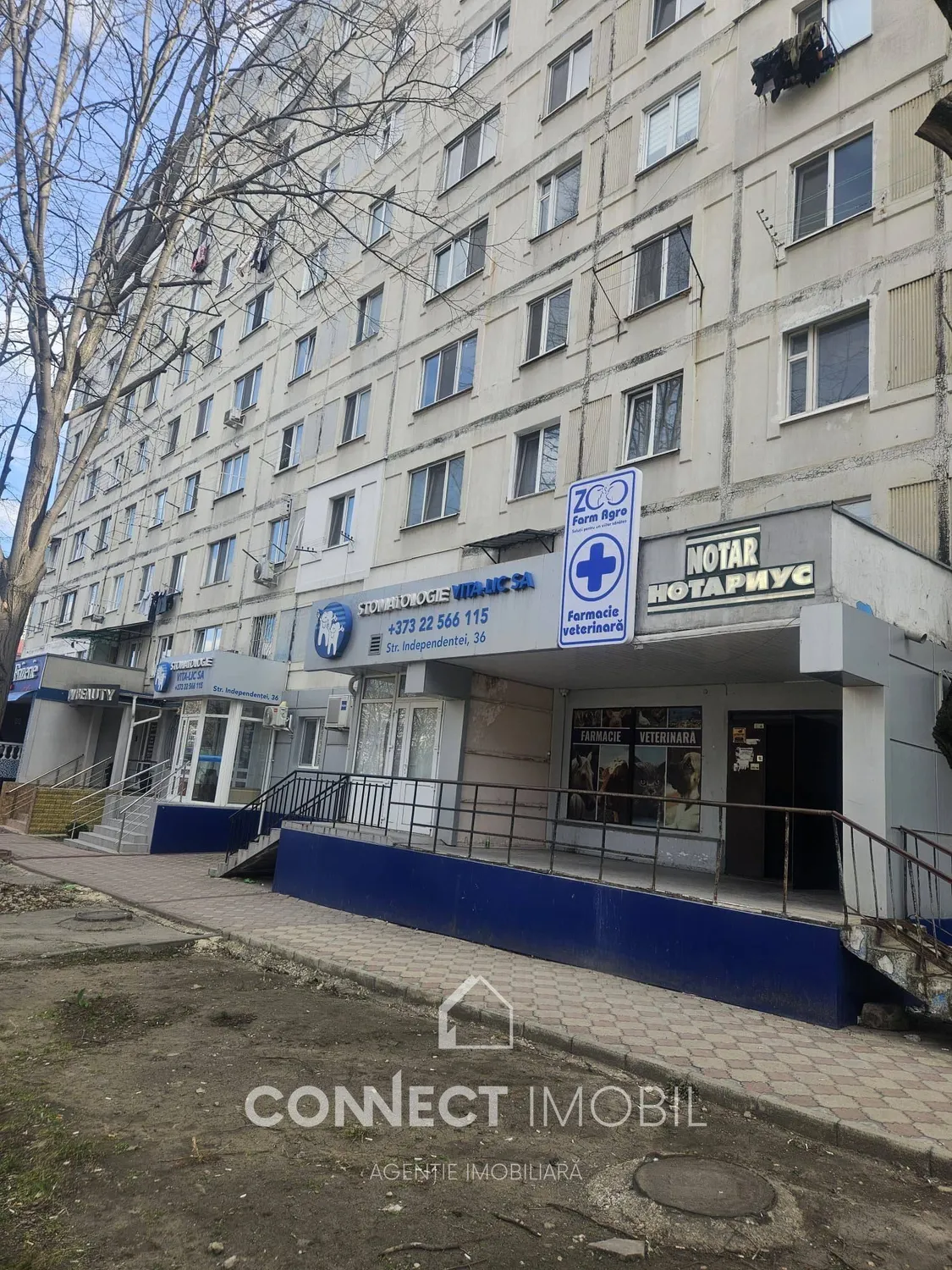 1-комнатная квартира, 18 м² — Изображение 3