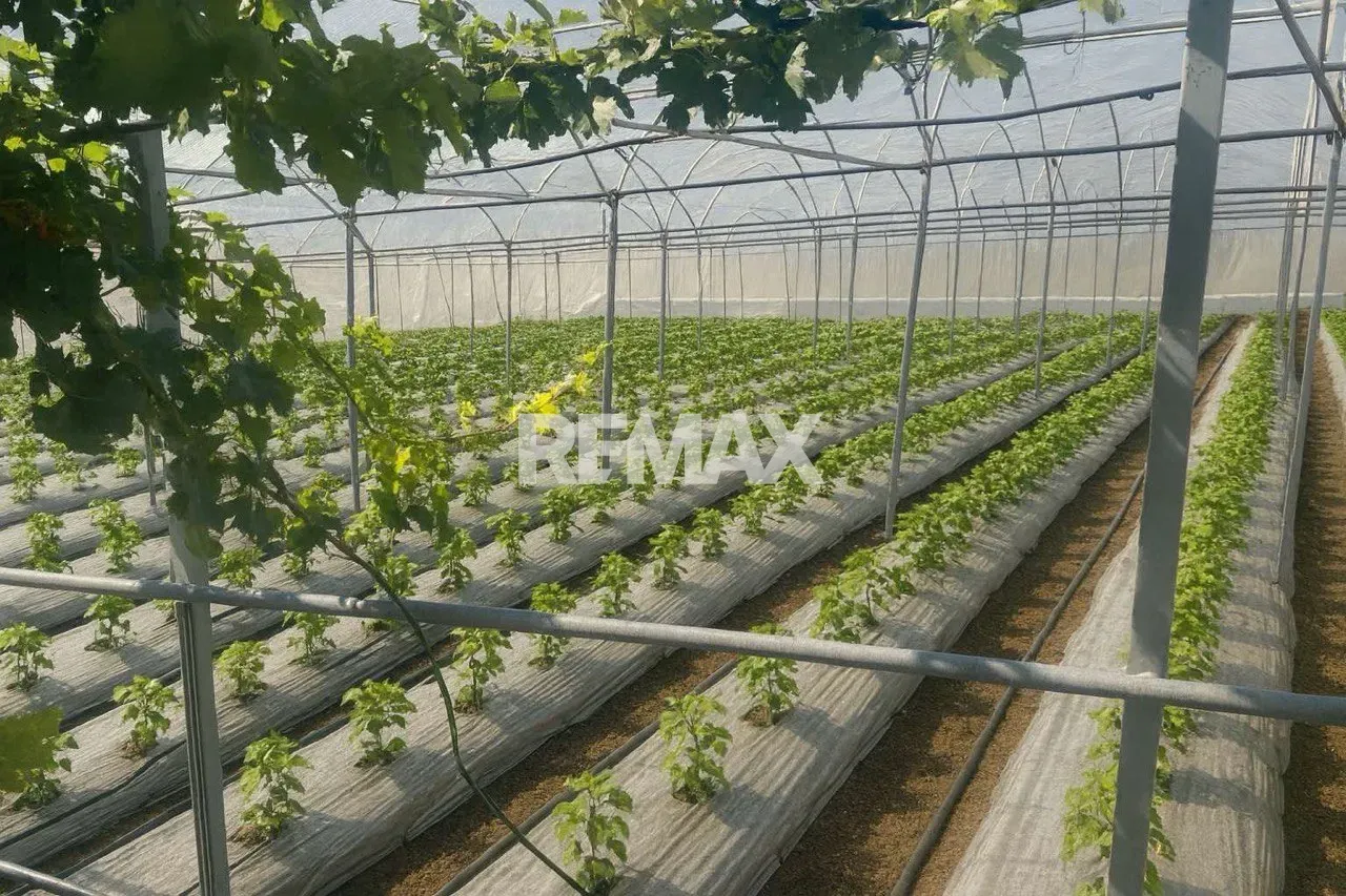 1-floor house, 80 m² — Image 5