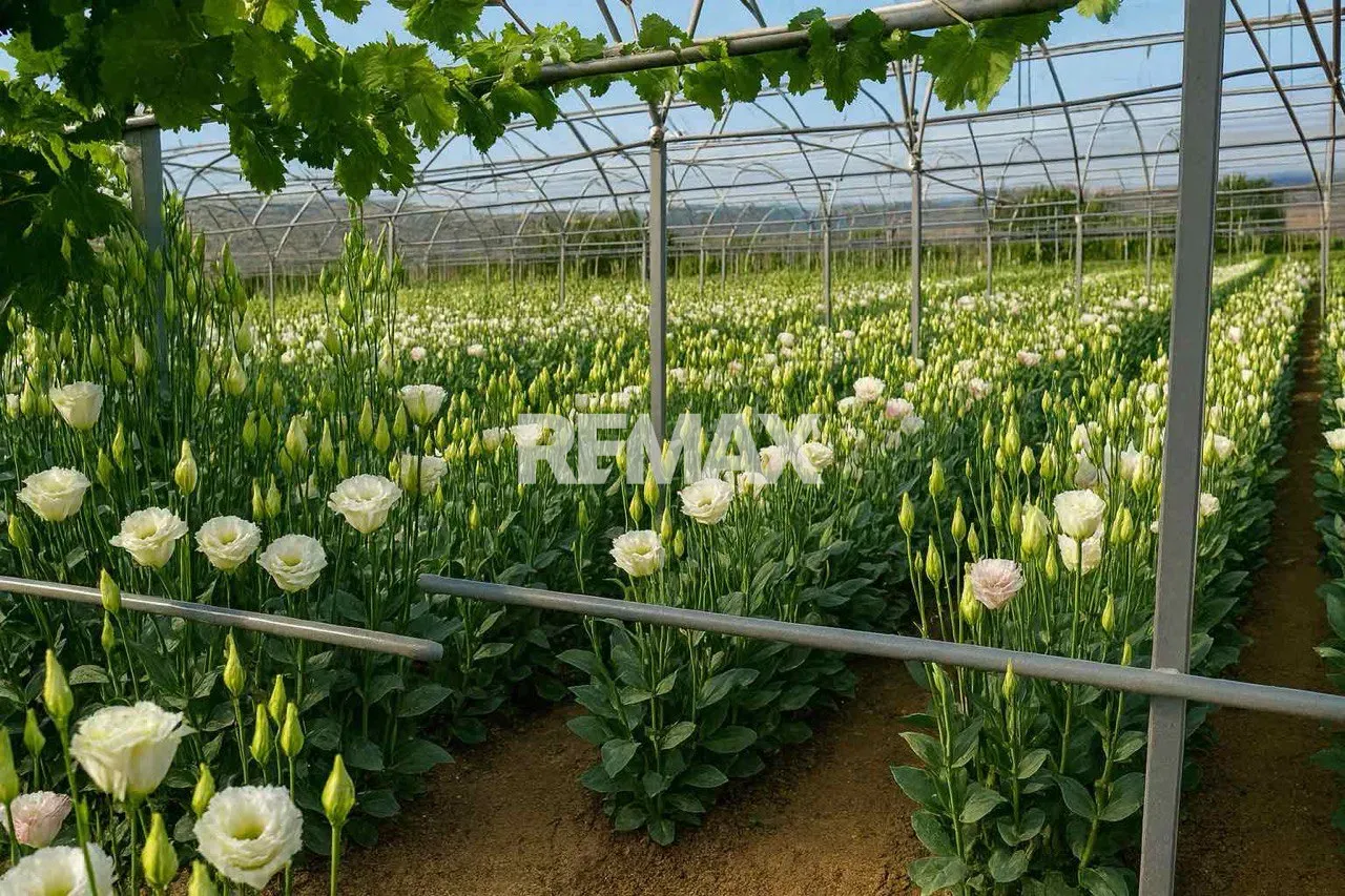 1-floor house, 80 m² — Image 12