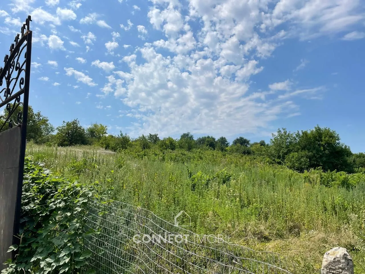 Land, 17 ares — Image 4