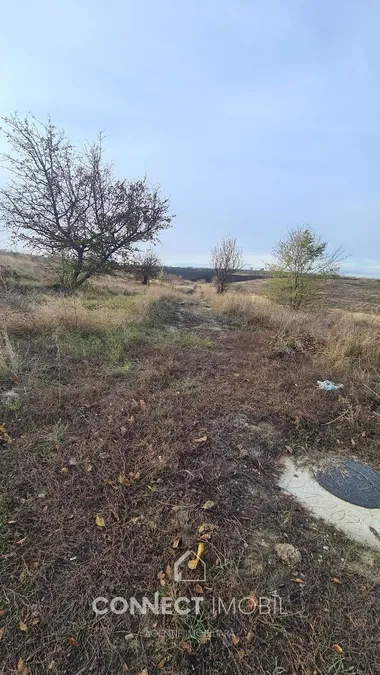 Land, 10 ares — Image 4