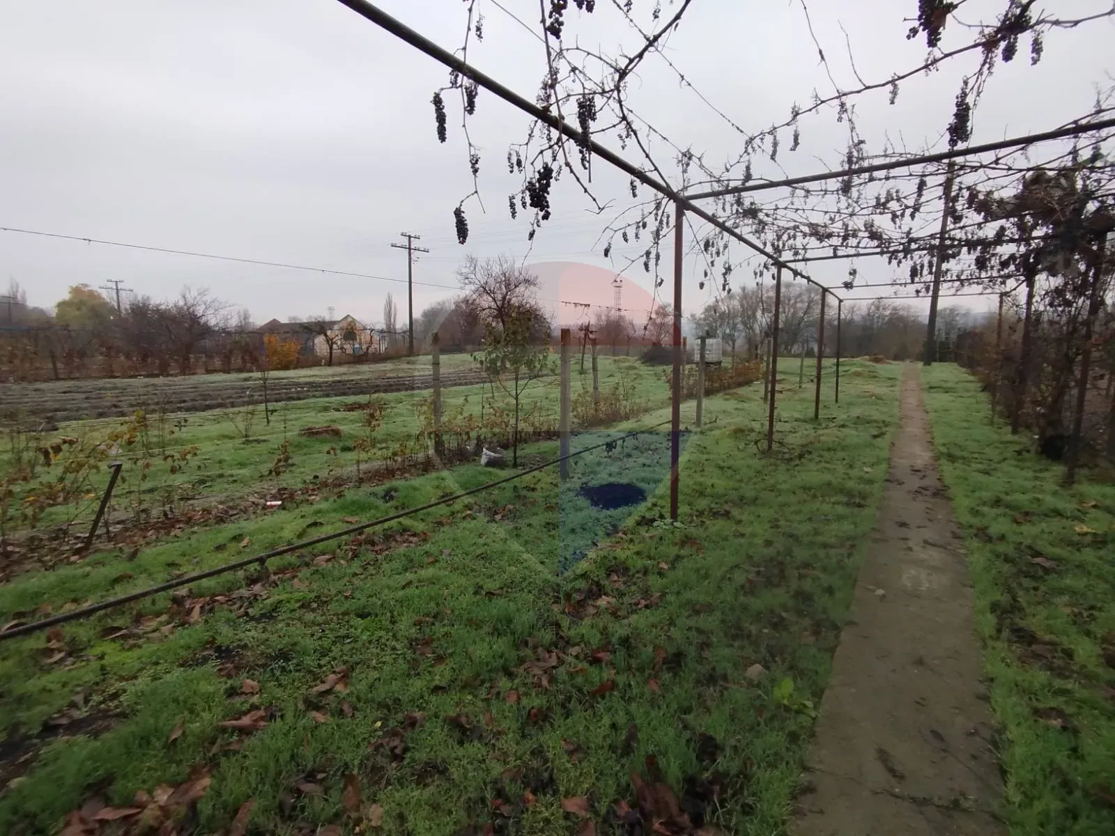 1-floor house, 119 m² — Image 6