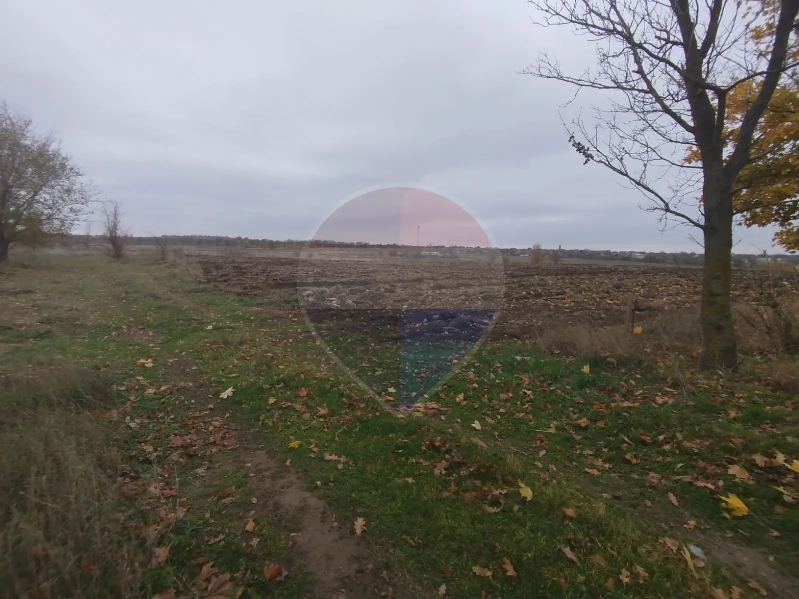 Land, 22 ares — Image 4