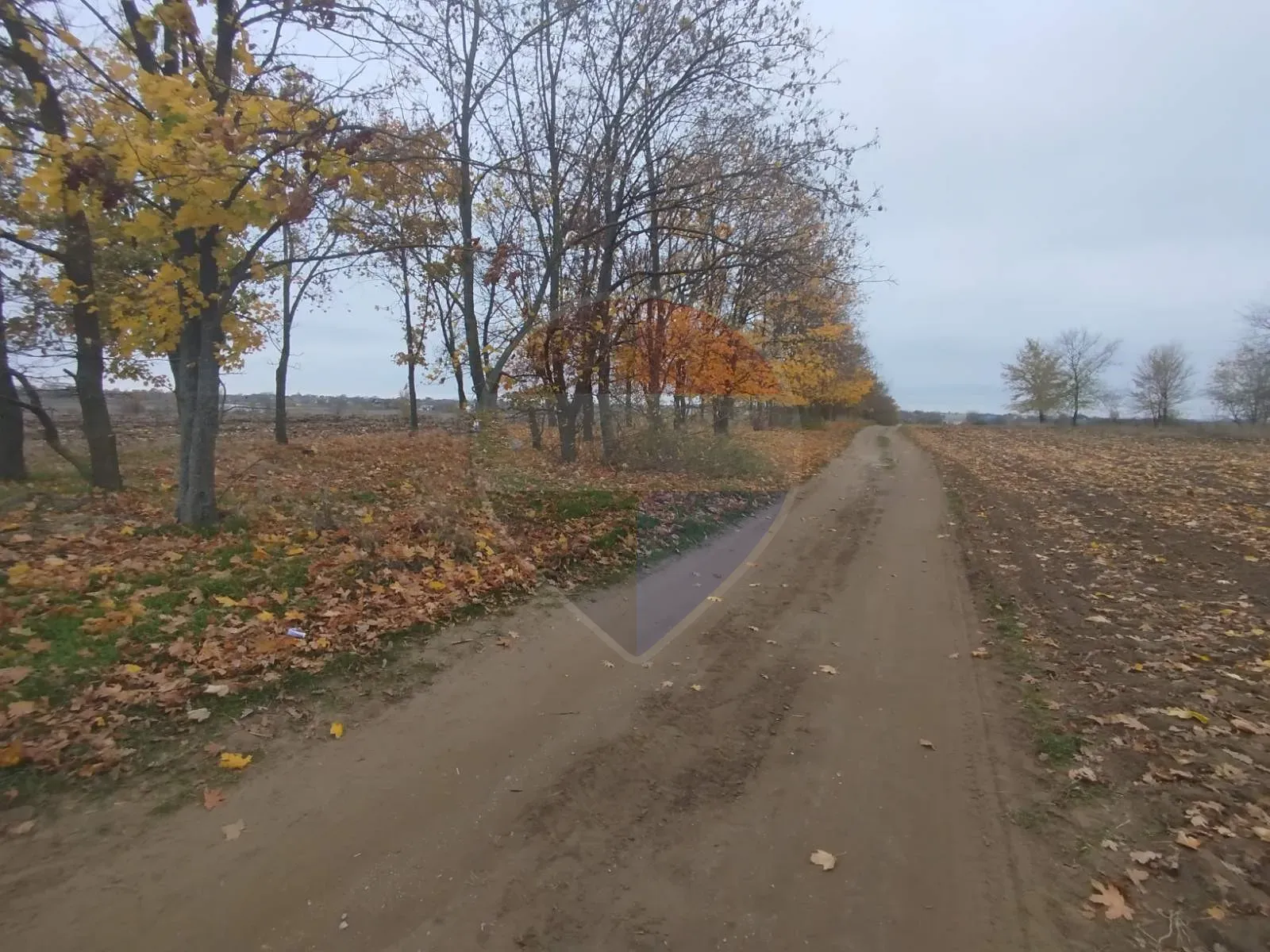 Land, 22 ares — Image 1