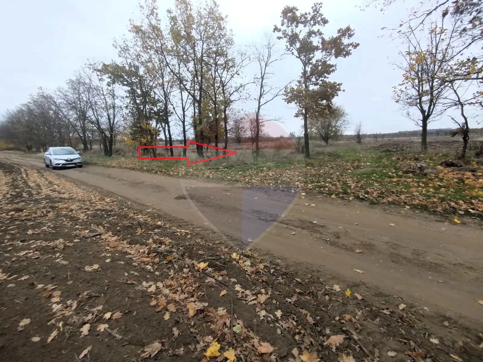 Land, 22 ares — Image 2