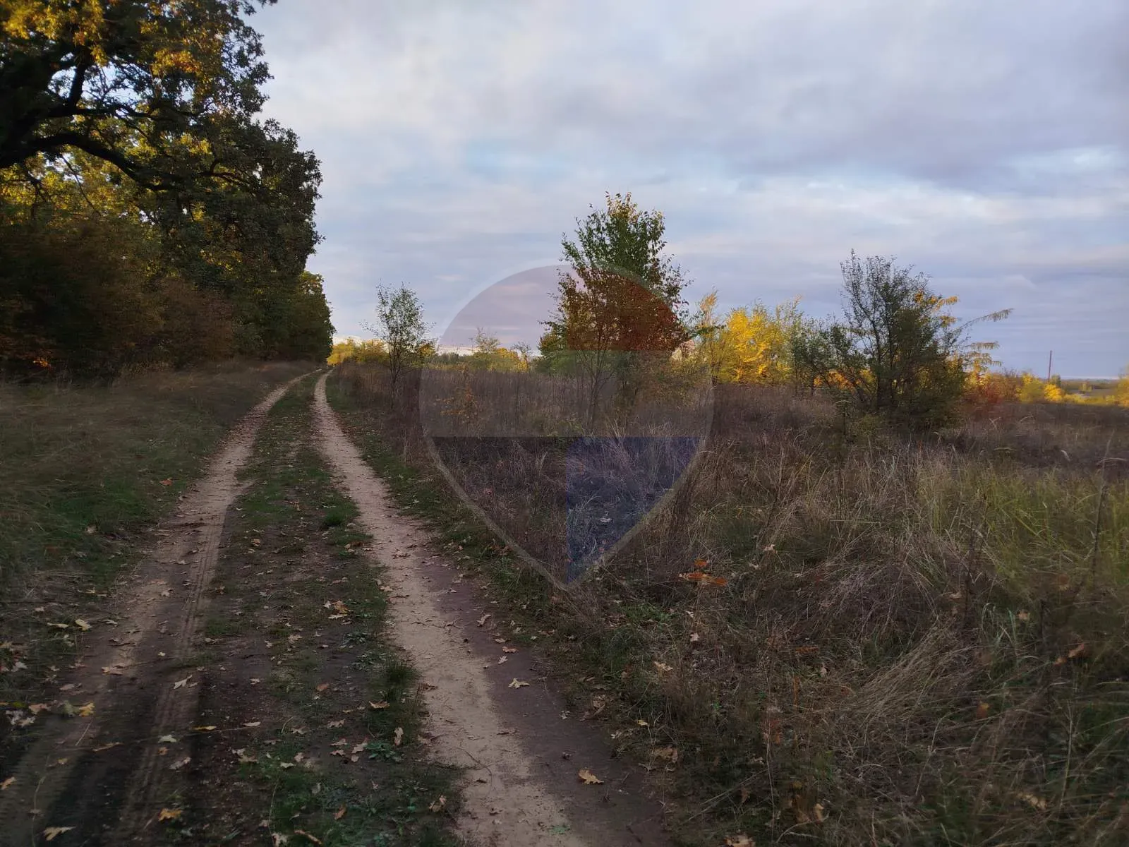 Land, 12 ares — Image 1