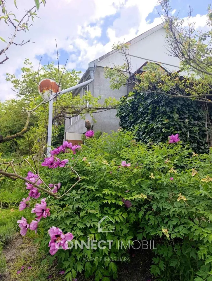 1-etaje casă, 50 m² — Imagine 4