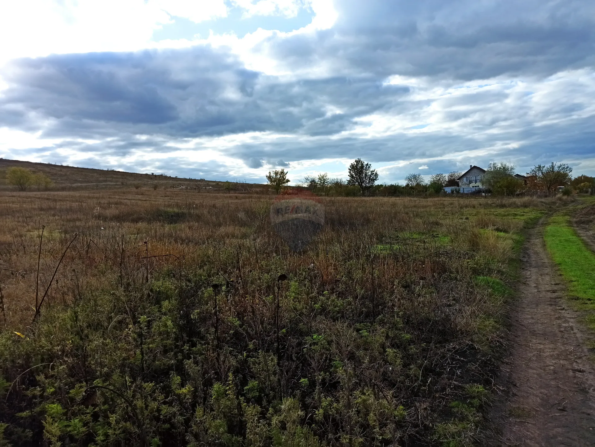 Land, 12 ares — Image 3