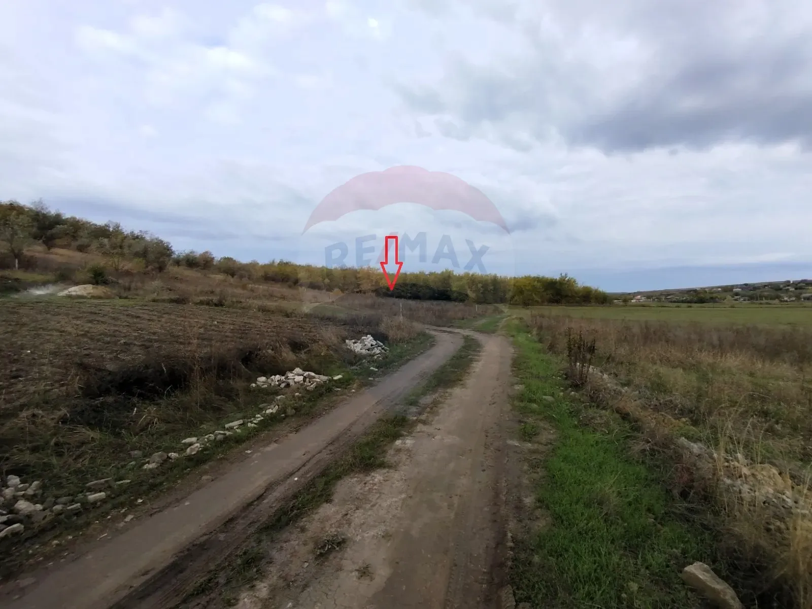 Land, 12 ares — Image 5