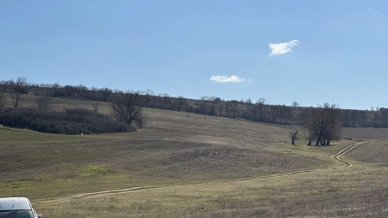 Teren, 1.50 hectare — Imagine 4