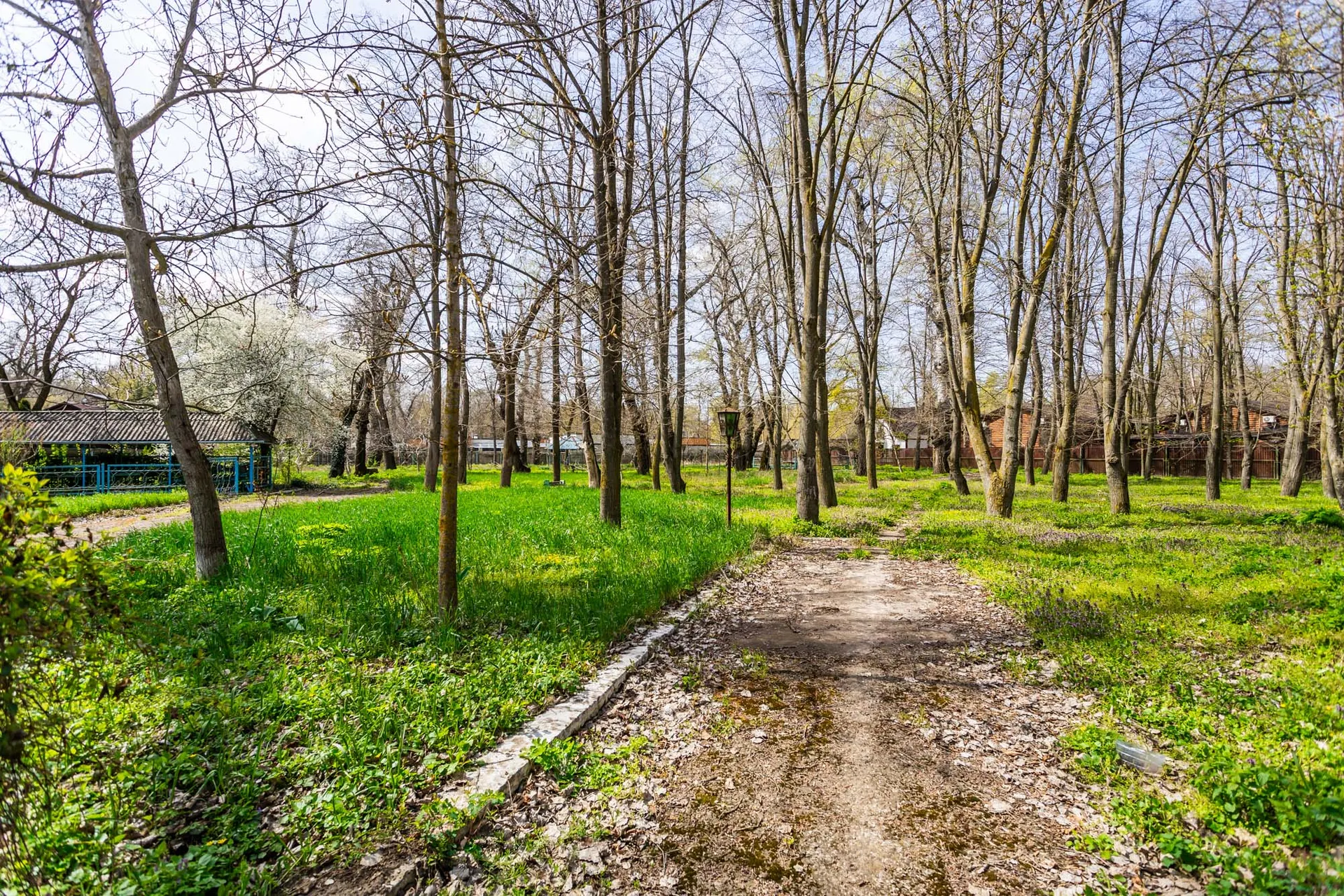 Land, 1.04 hectares — Image 4