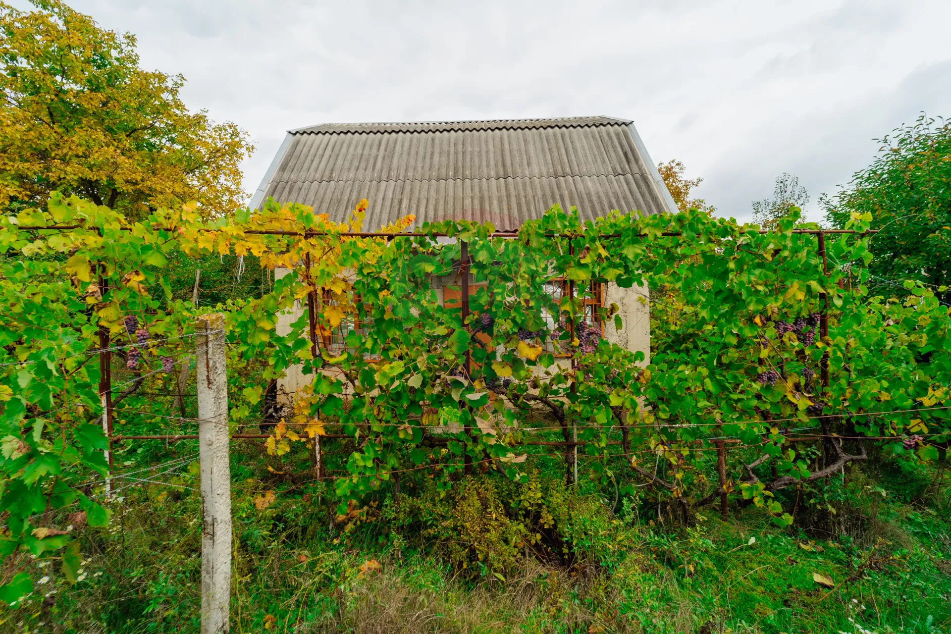 Land, 6 ares — Image 1