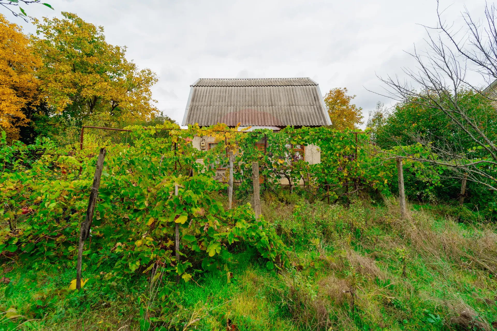 Land, 6 ares — Image 14