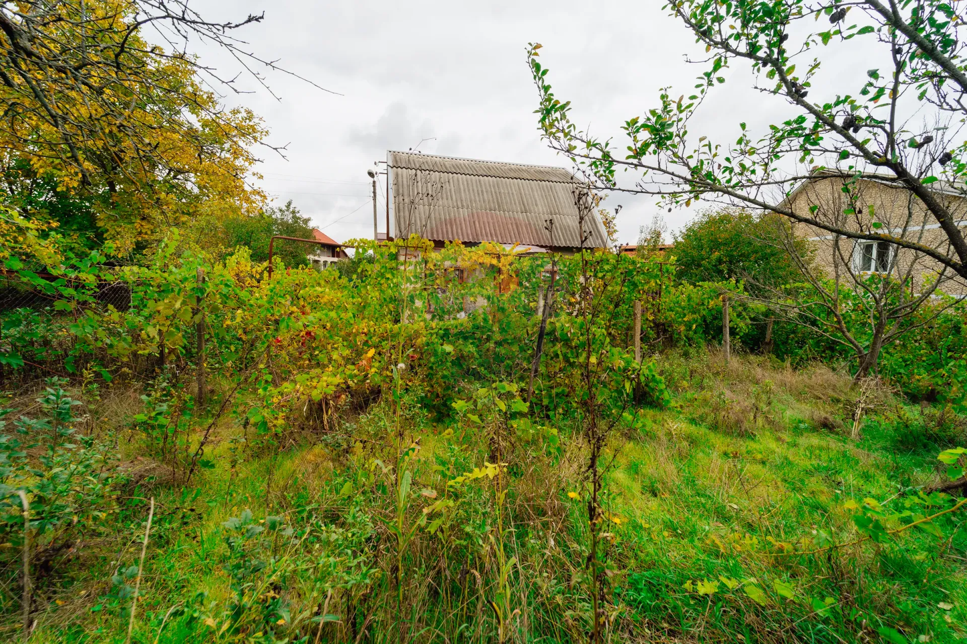 Land, 6 ares — Image 6