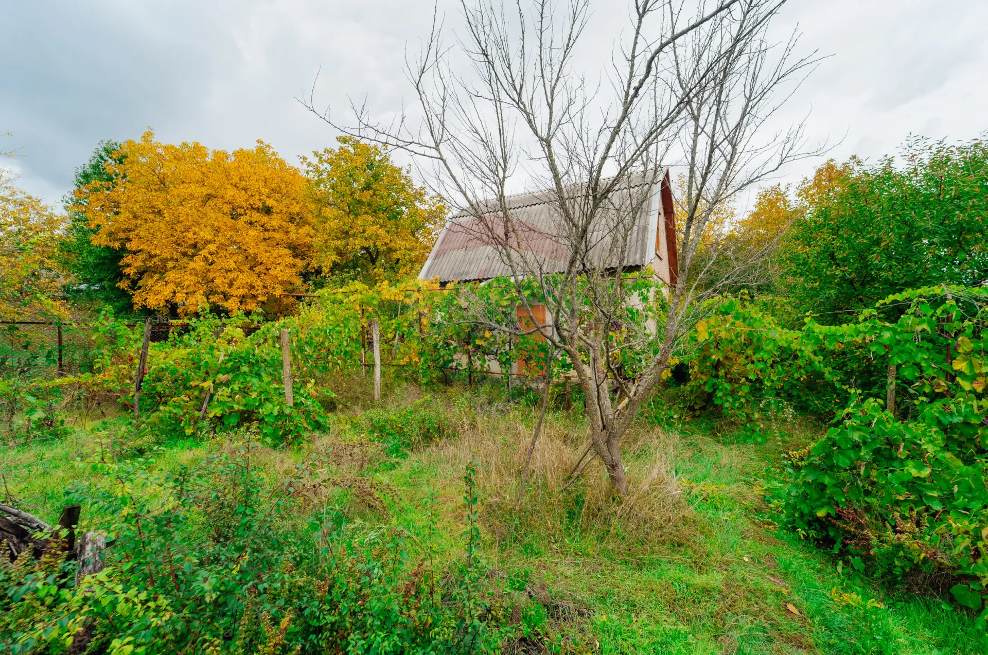 Land, 6 ares — Image 5