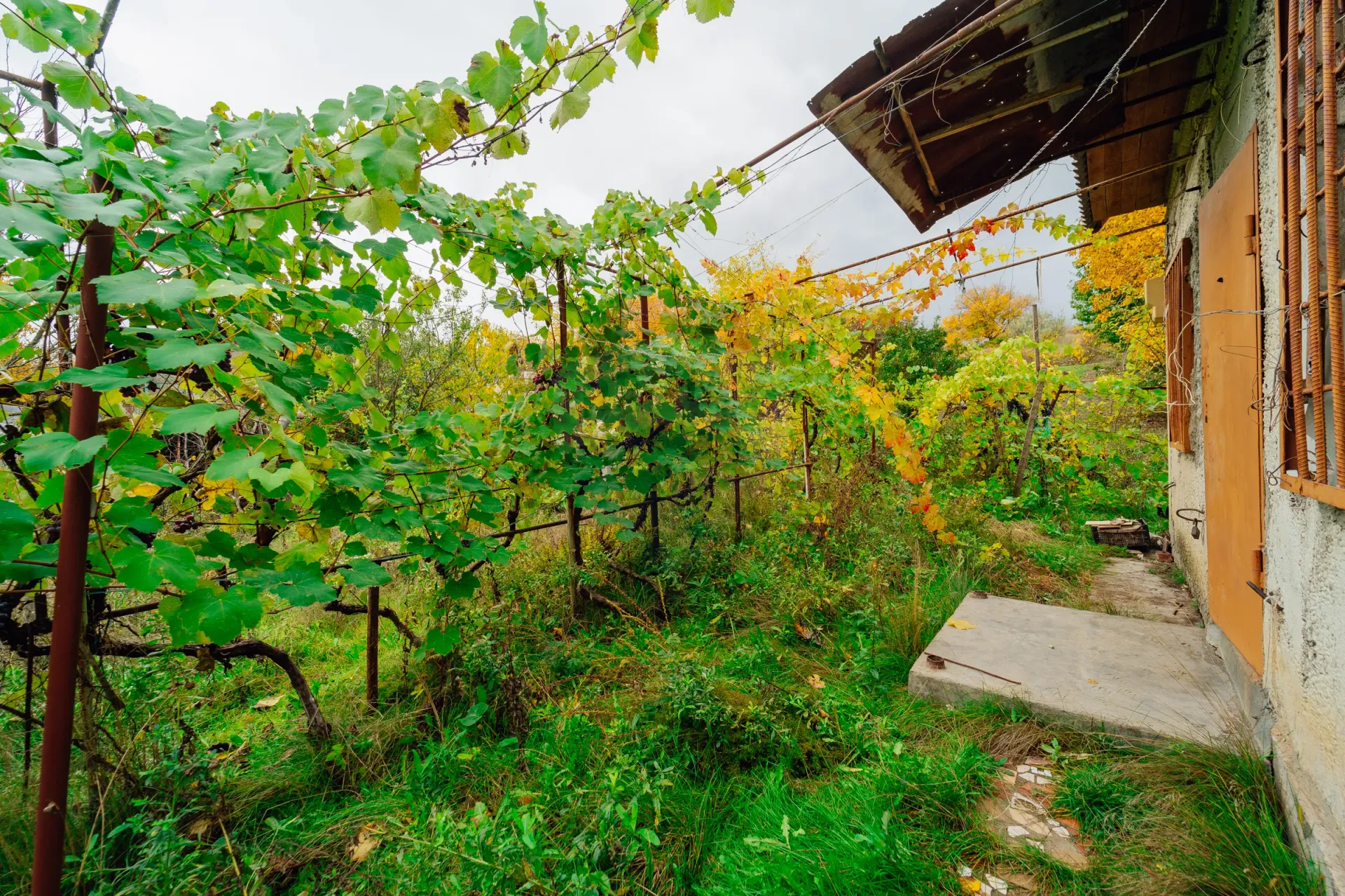 Land, 6 ares — Image 8