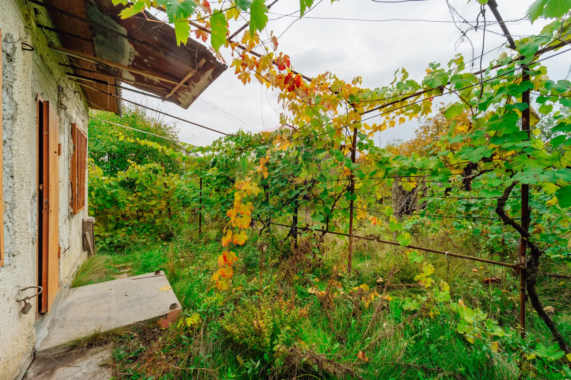 Land, 6 ares — Image 7