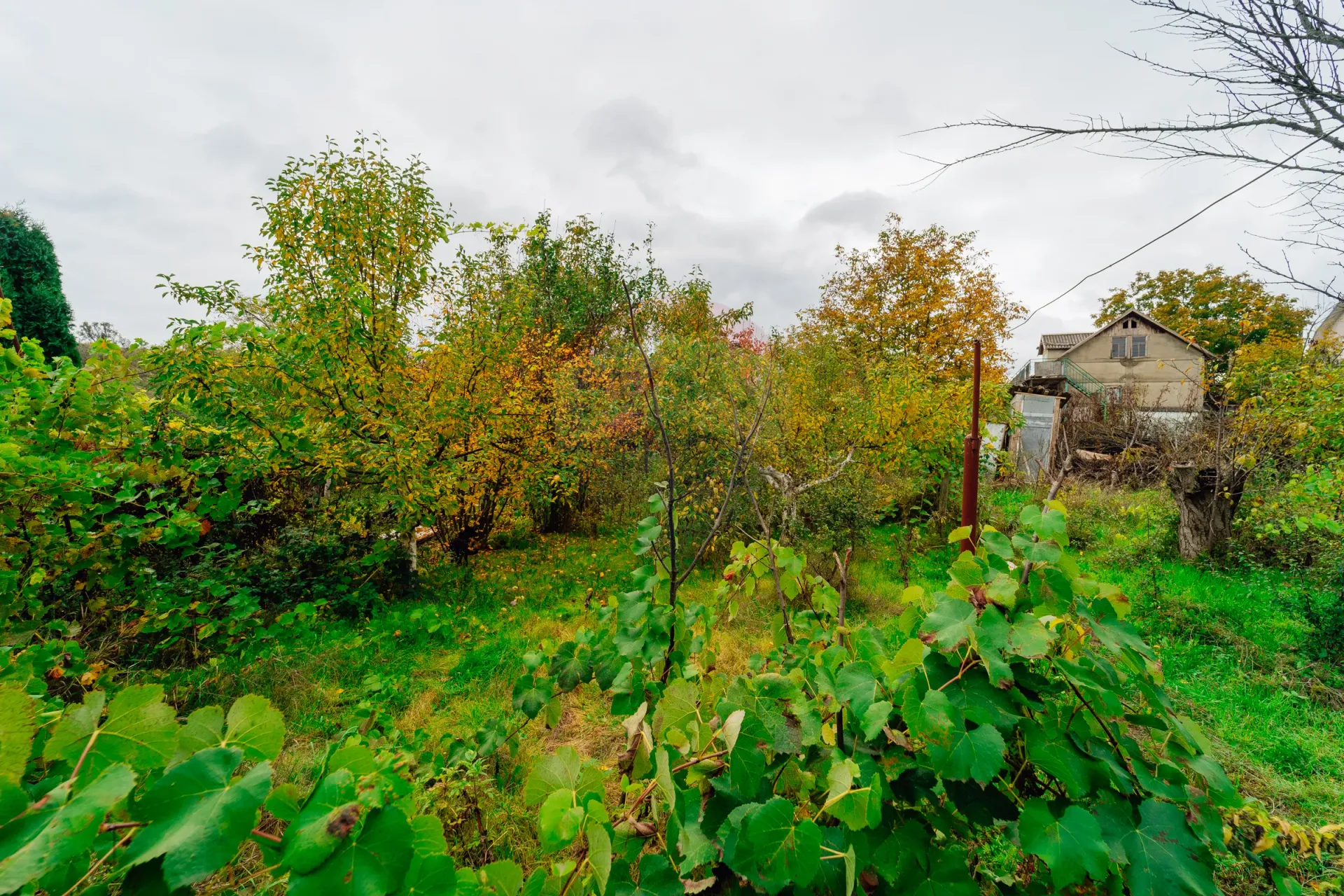 Land, 6 ares — Image 9