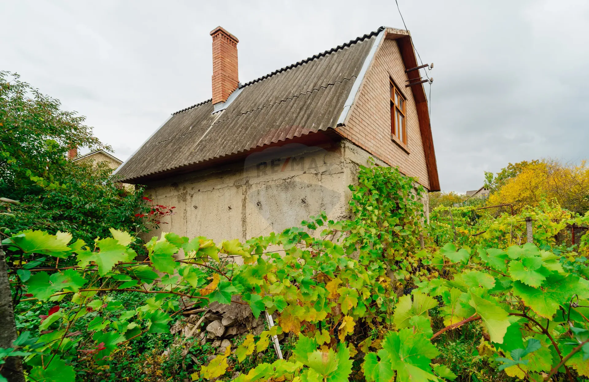 Land, 6 ares — Image 15