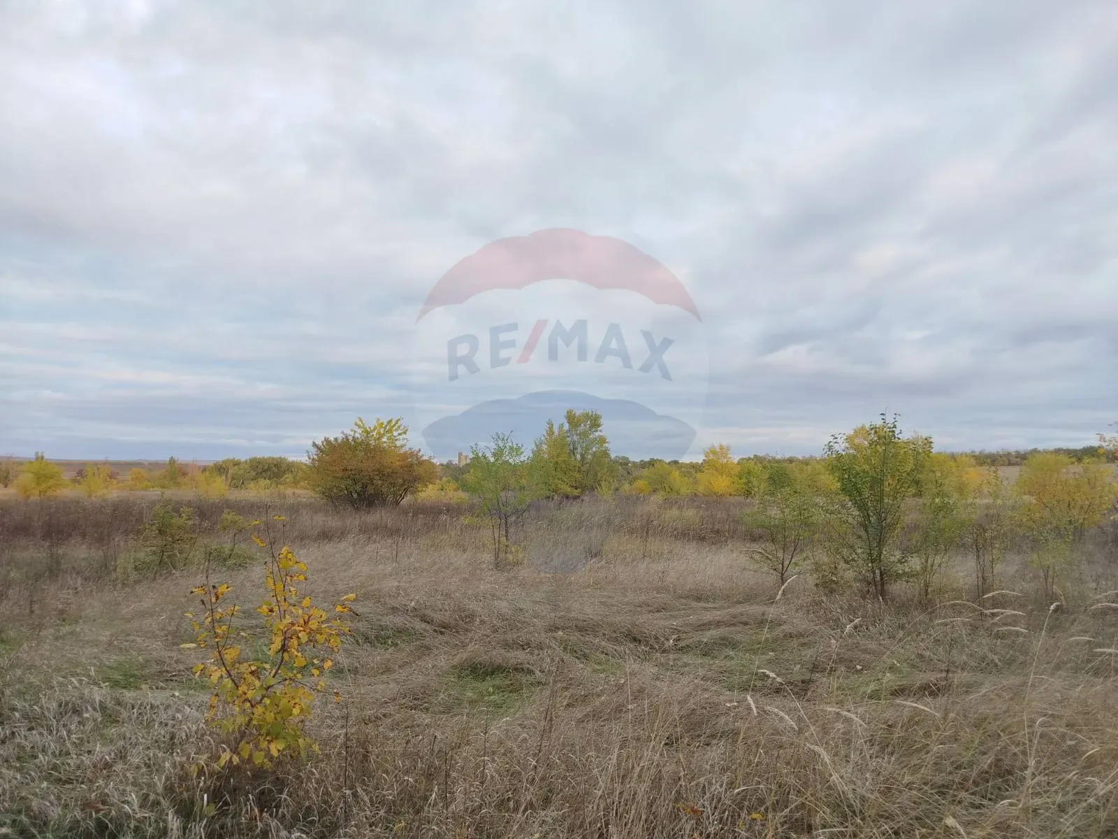 Land, 6 ares — Image 3