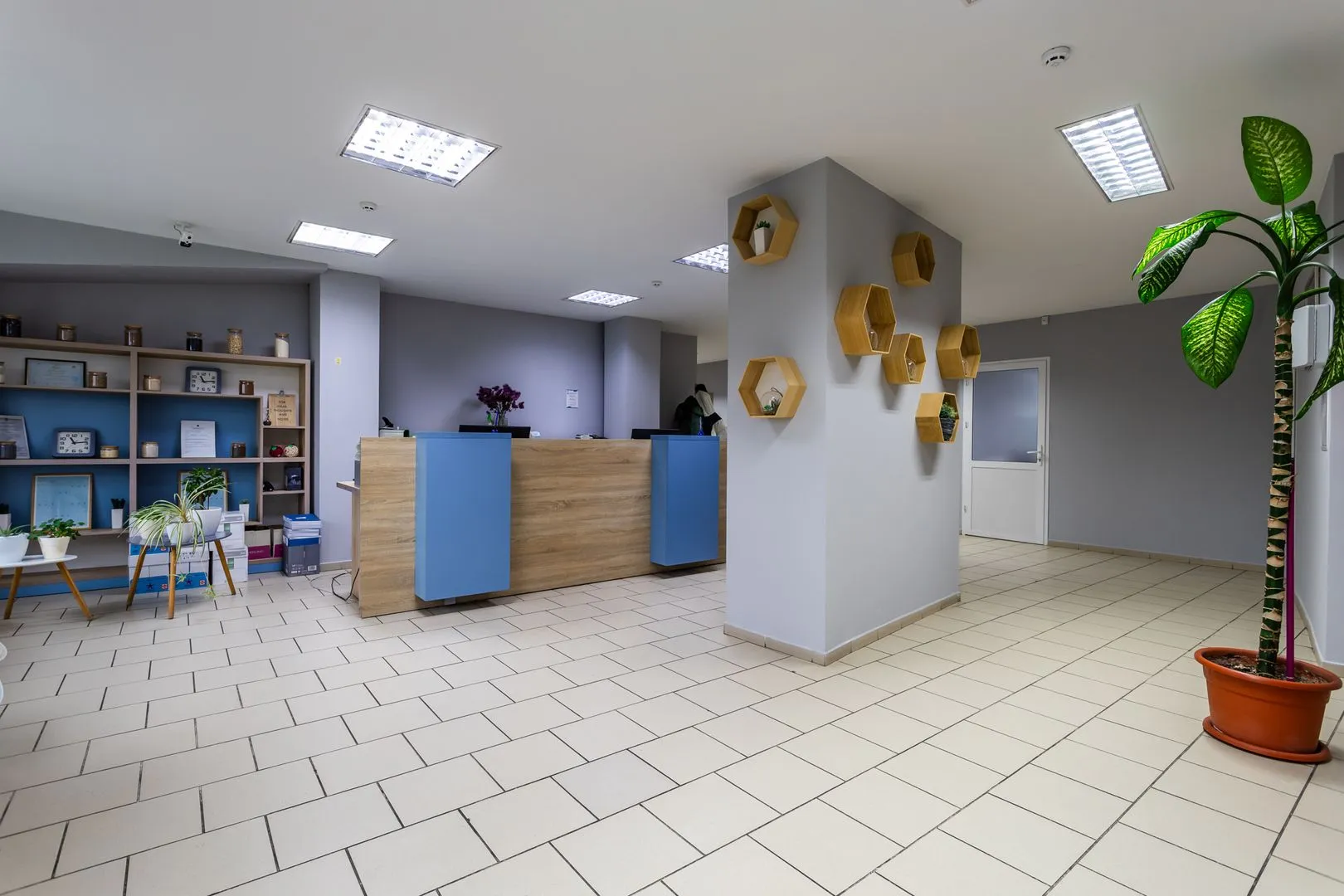 Торговое помещение, 1 260 м² — Изображение 1