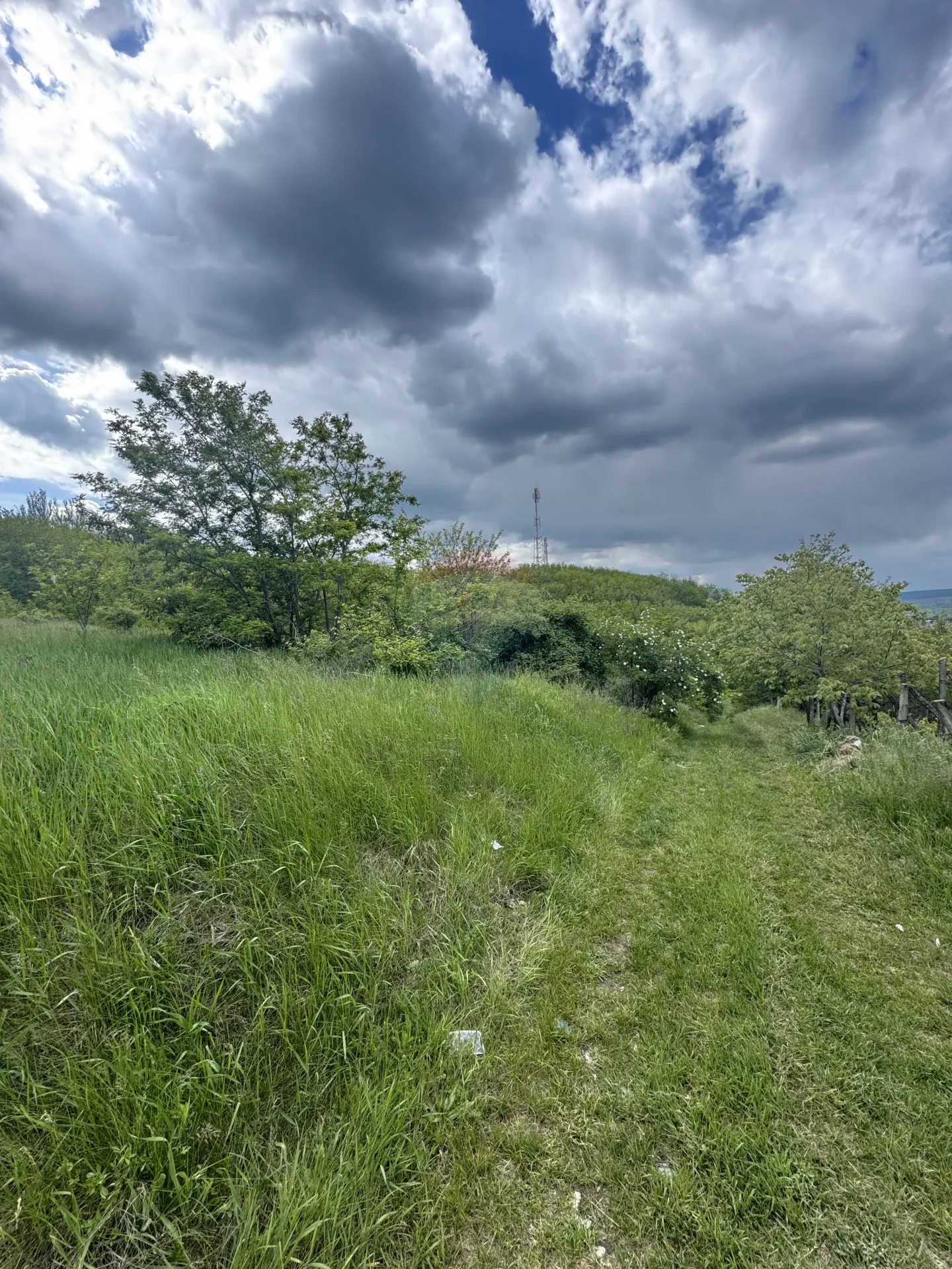 Land, 86 ares — Image 2