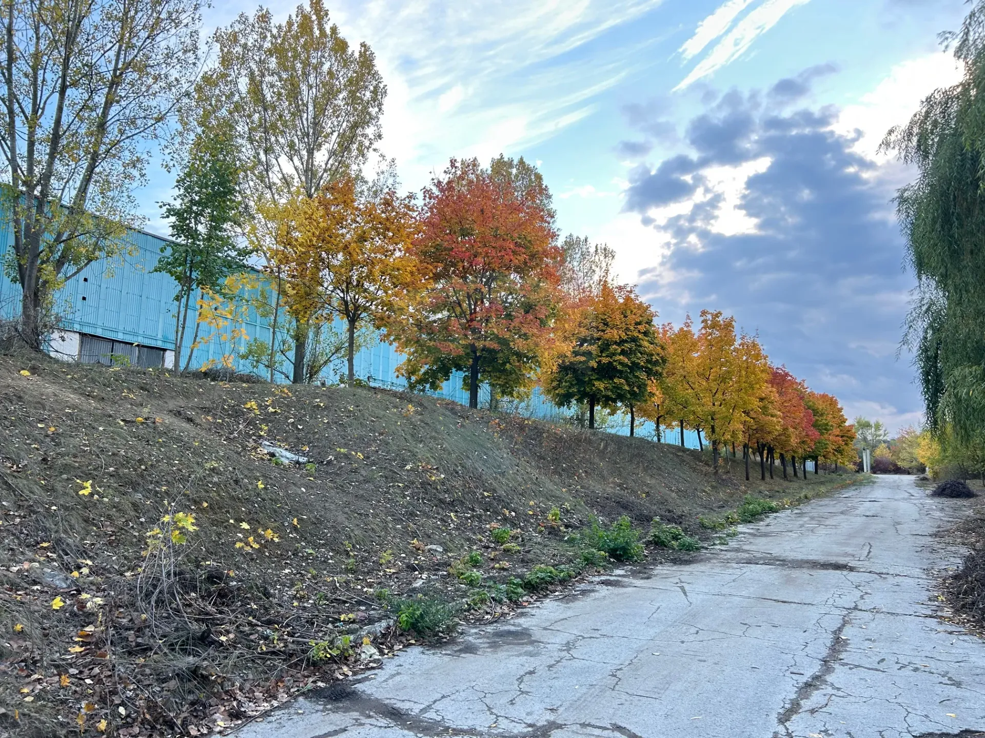 Warehouse, 1 500 m² — Image 6