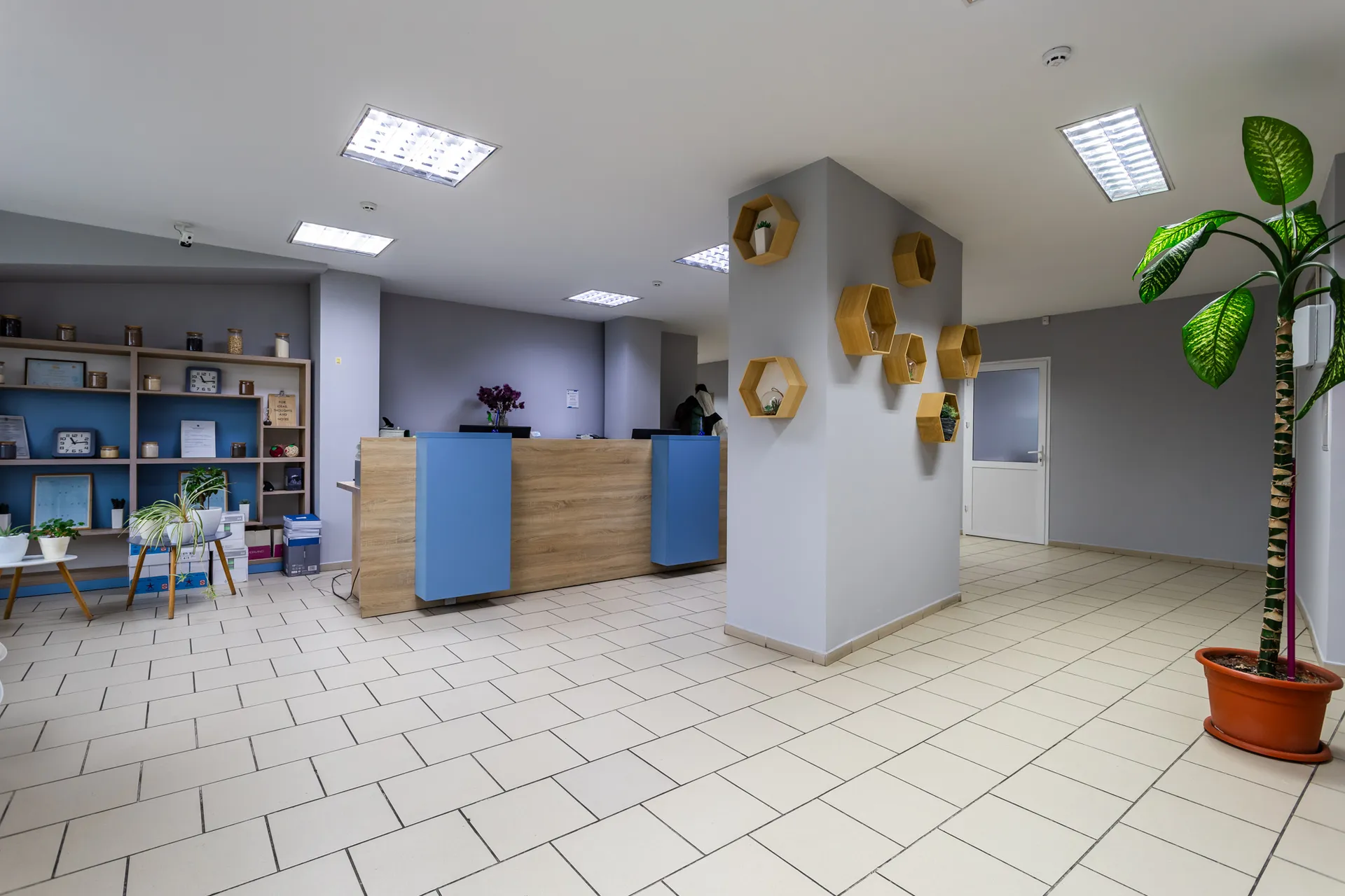 Торговое помещение, 315 м² — Изображение 4