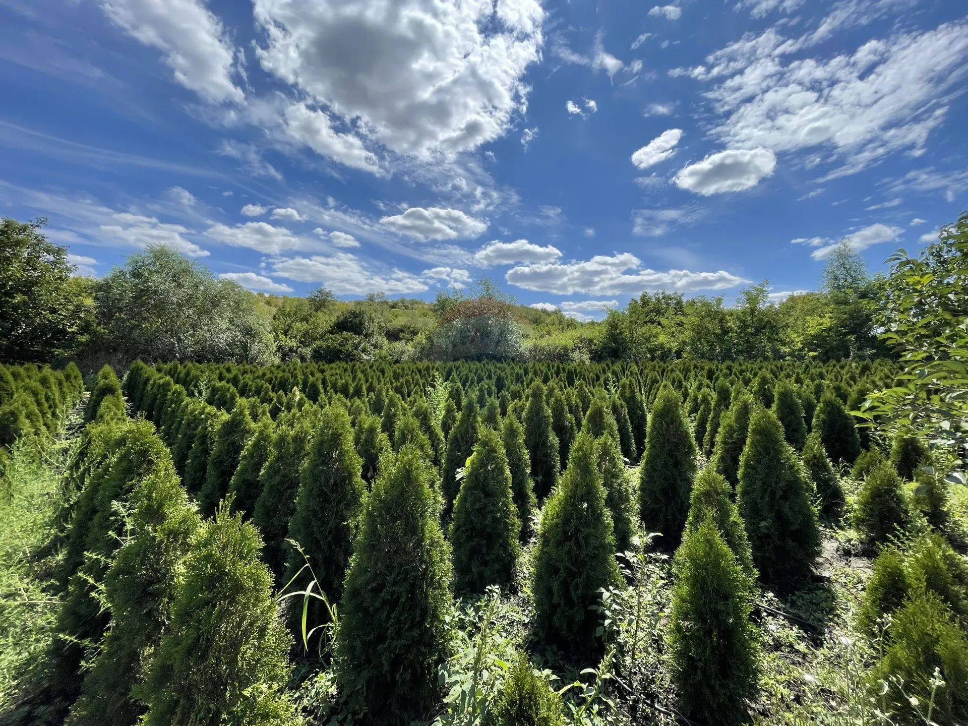 Land, 7.45 ares — Image 1