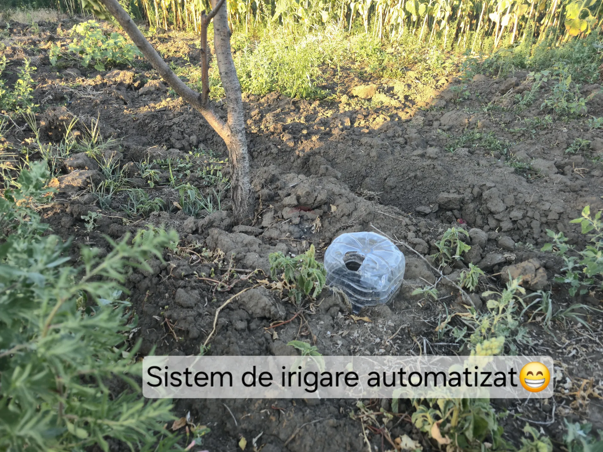 Commercial Land, 97 ares — Image 5