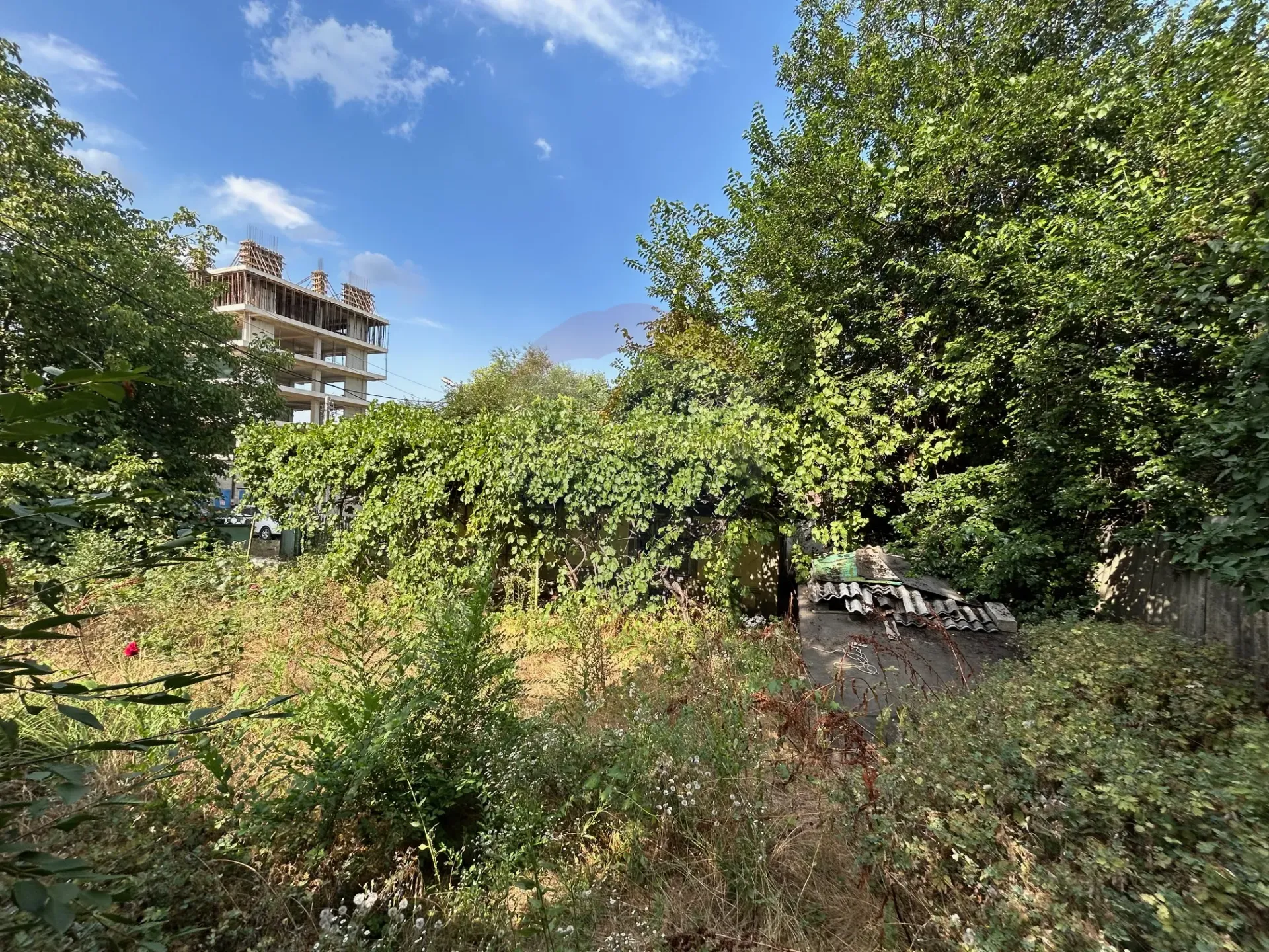 Commercial Land, 4.37 ares — Image 4