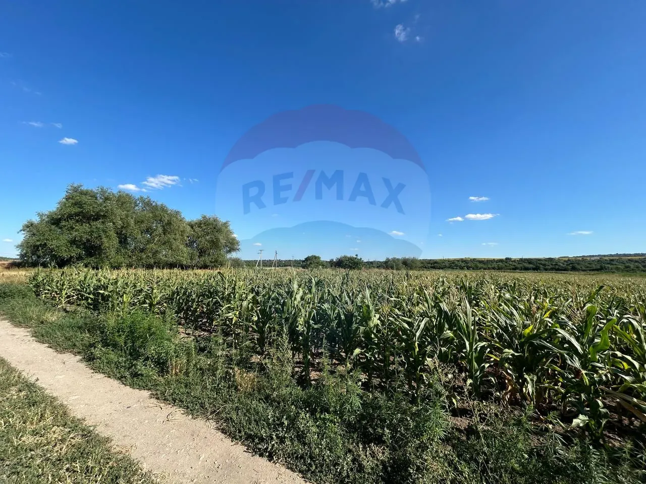 Land, 12 ares — Image 3