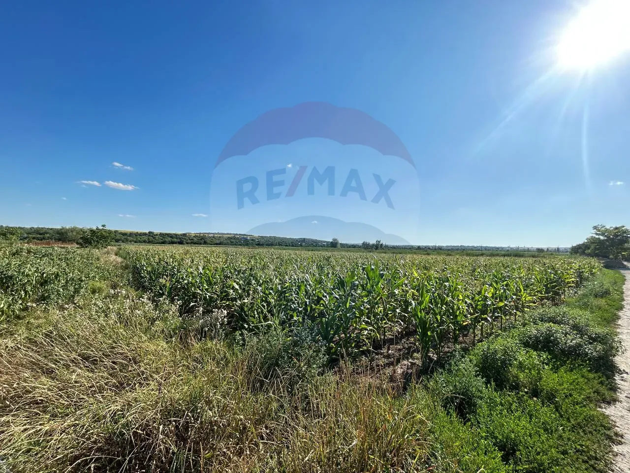 Land, 12 ares — Image 1