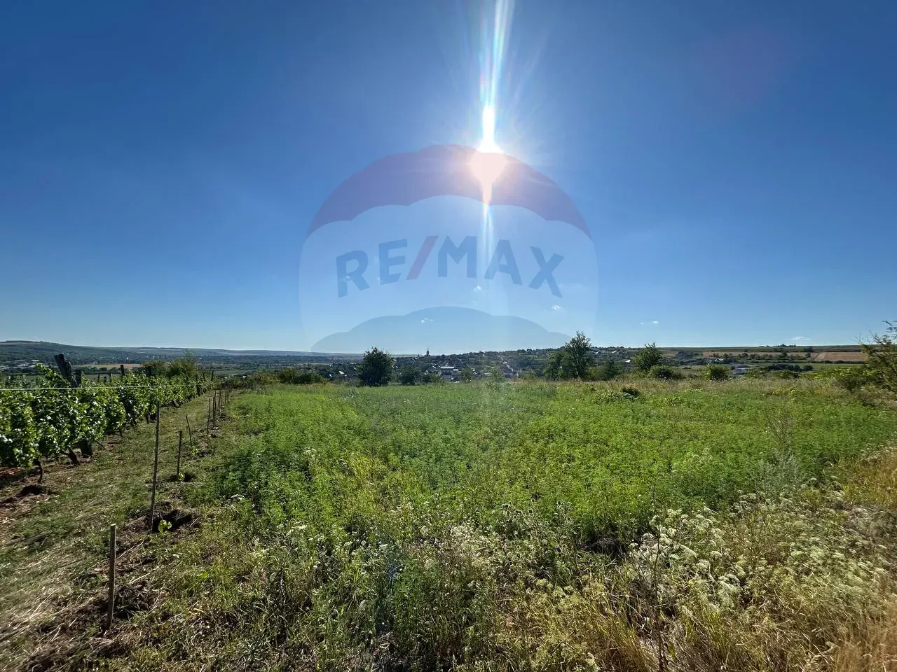 Land, 10 ares — Image 1