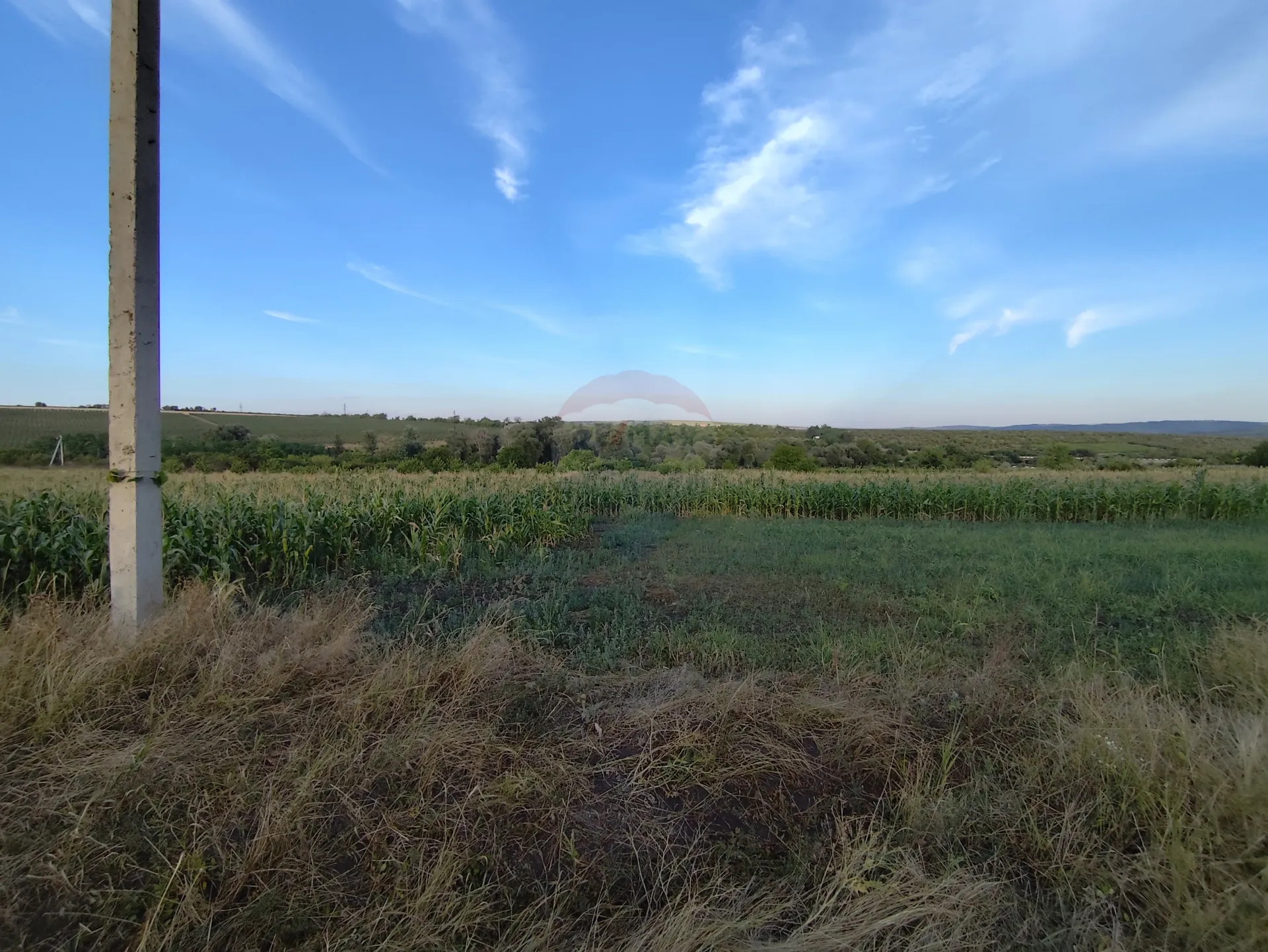 Land, 31 ares — Image 1