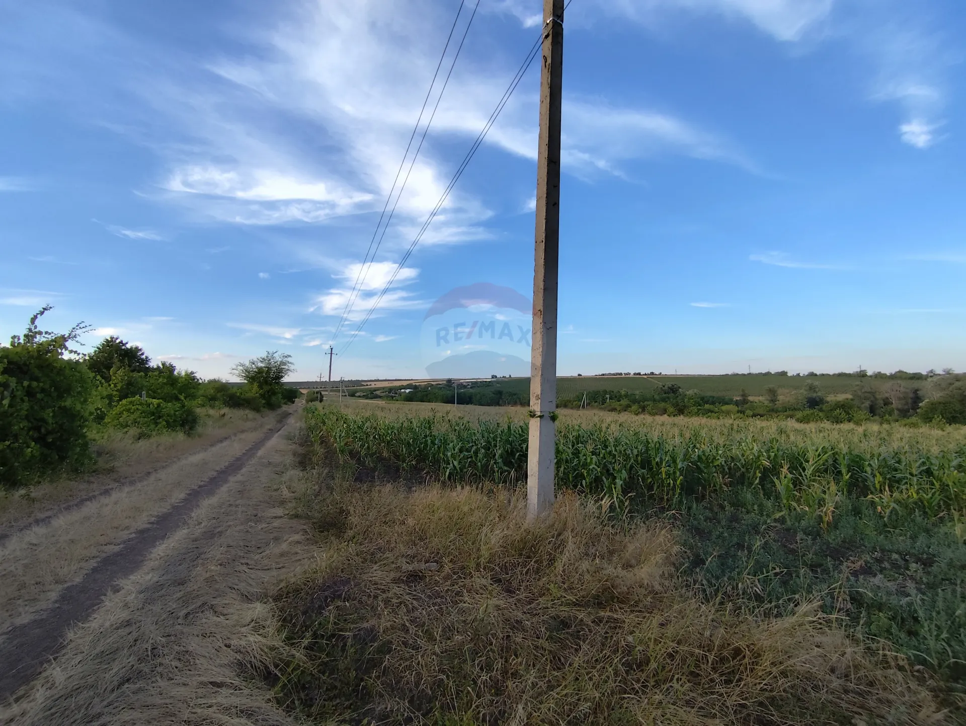 Land, 31 ares — Image 4