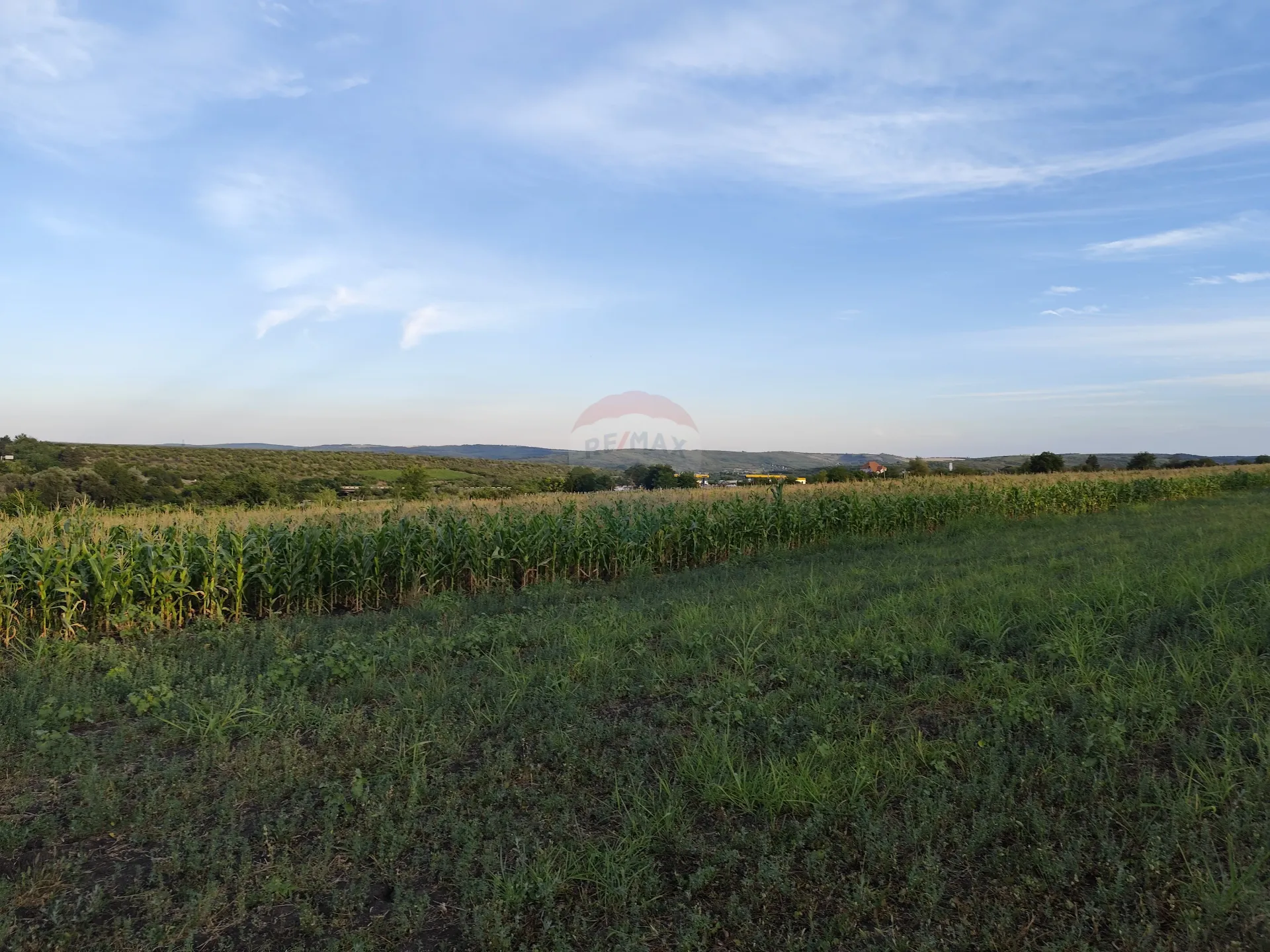 Land, 31 ares — Image 2