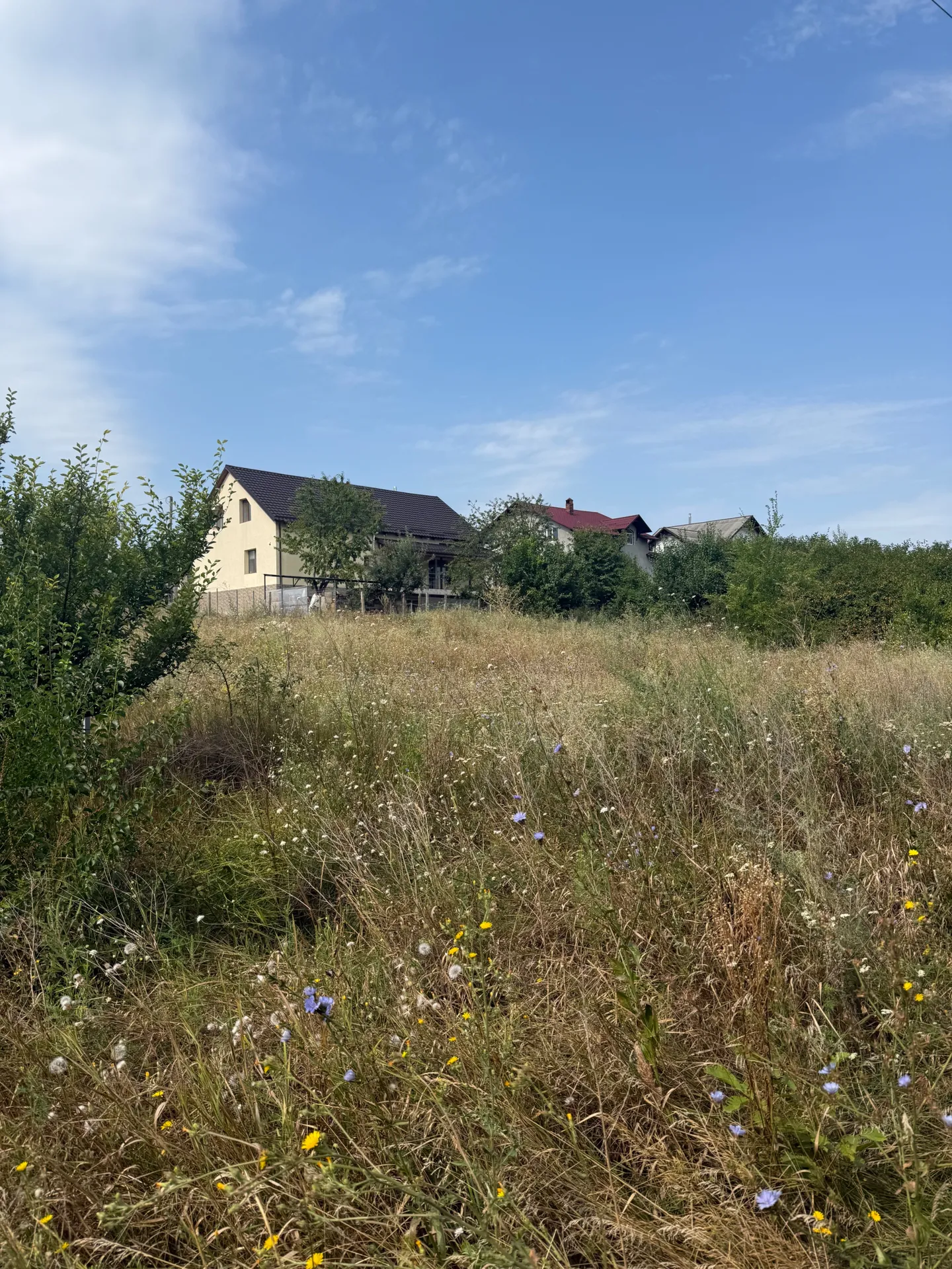 Участок, 6 соток — Изображение 4