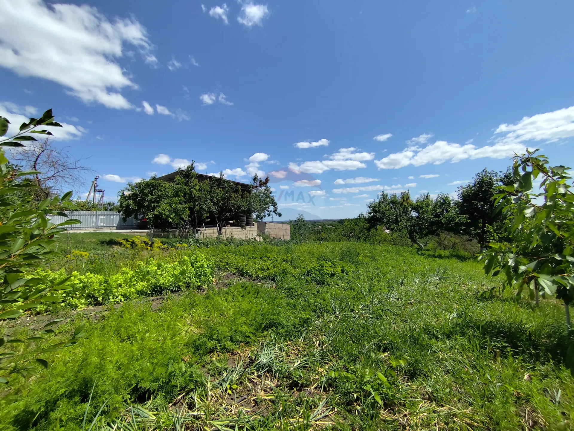 Land, 12 ares — Image 4