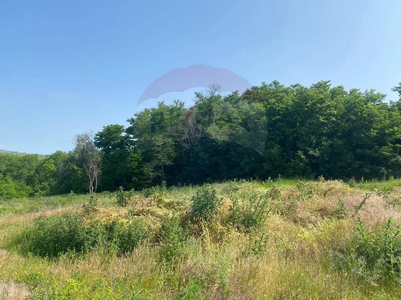 Land, 24 ares — Image 3