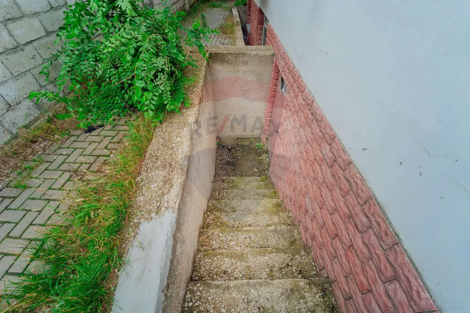 Free-purpose property, 127 m² — Image 3