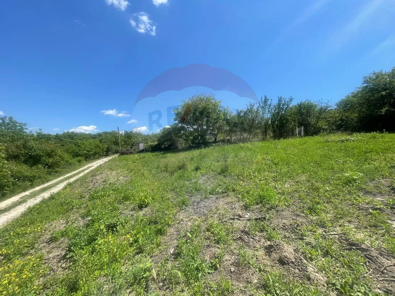 Land, 24 ares — Image 3