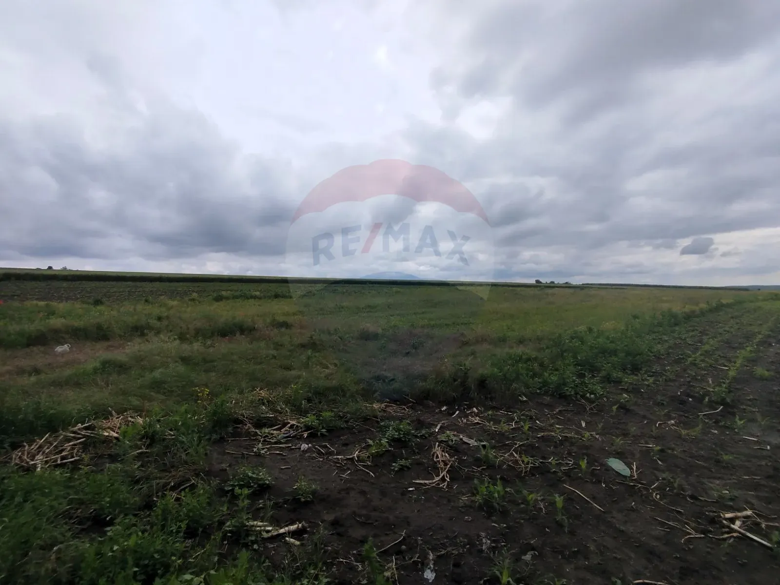 Commercial Land, 78 ares — Image 3