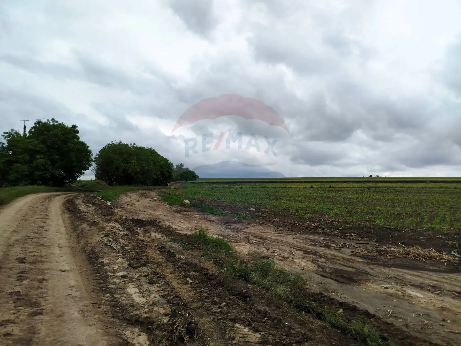 Commercial Land, 78 ares — Image 1