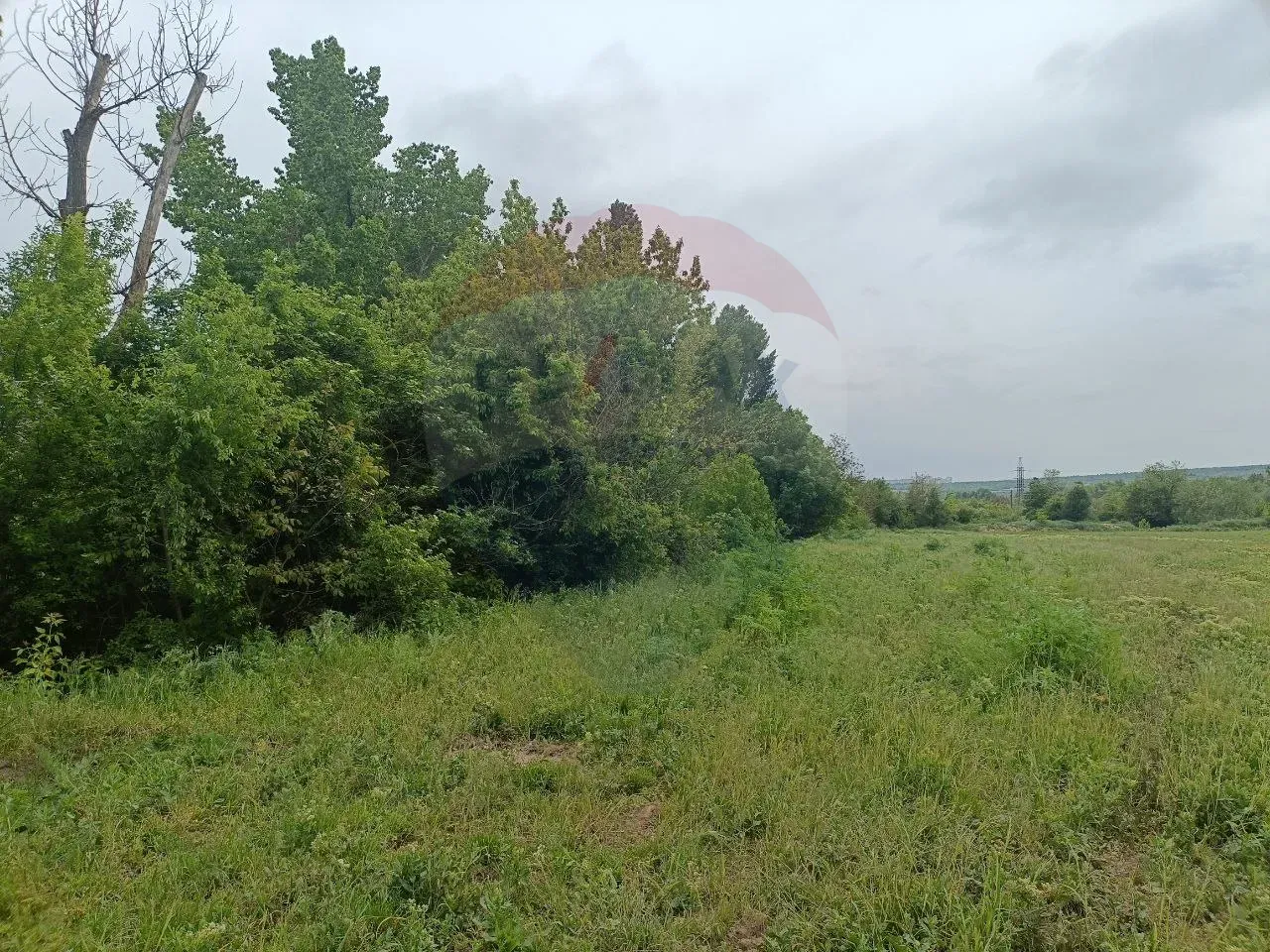 Land, 1.09 hectares — Image 6